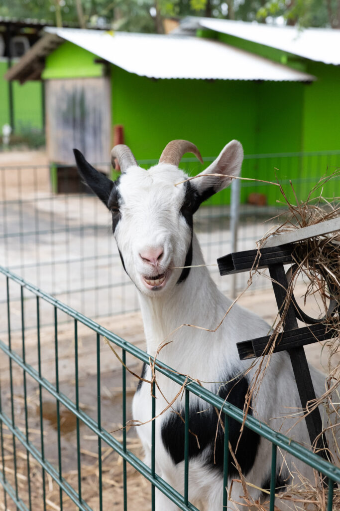 KD Spende Kellerranch